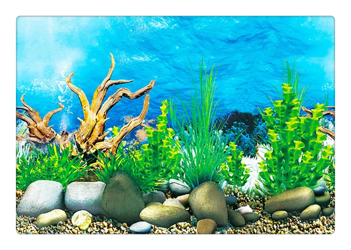 3D printed aquarium background