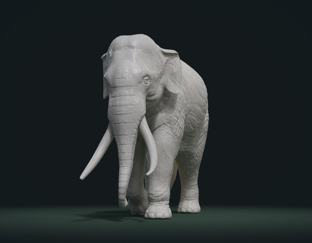 Wooden elephant 3d print