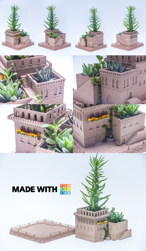 Succulent planter 3d print