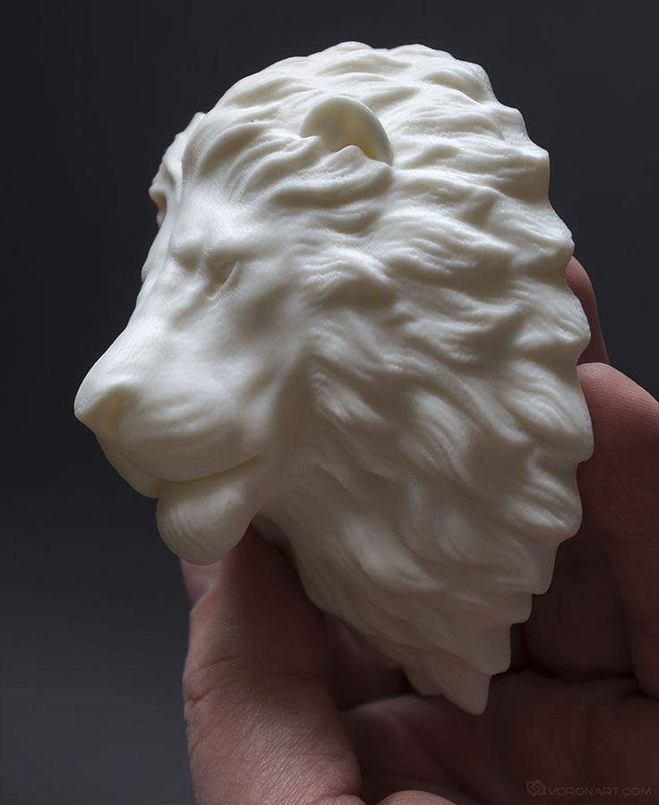 3D print lion