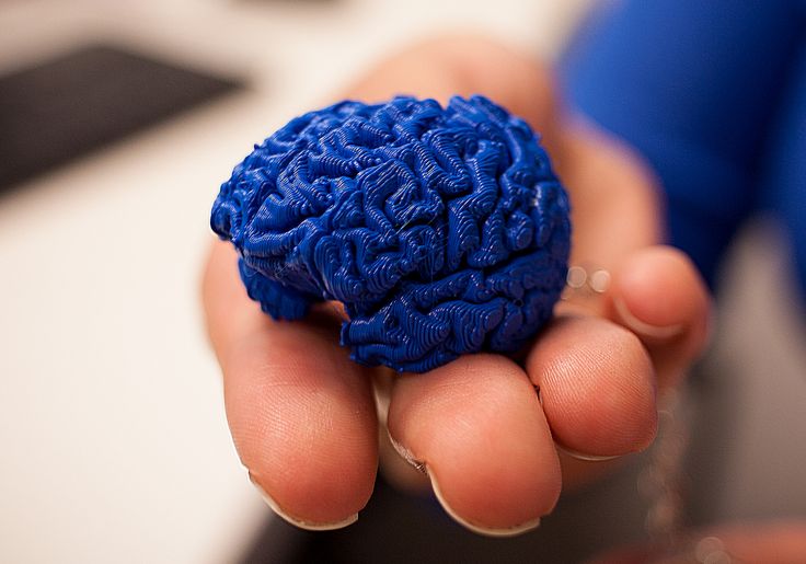 3D printed brain teaser