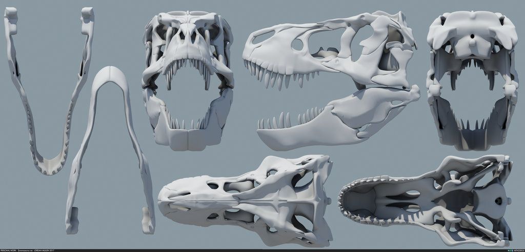 Trex skull 3d print