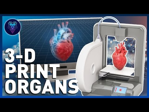 3D printers for organs