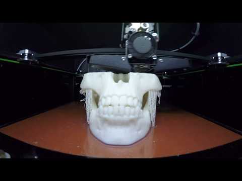 3D printer time lapse