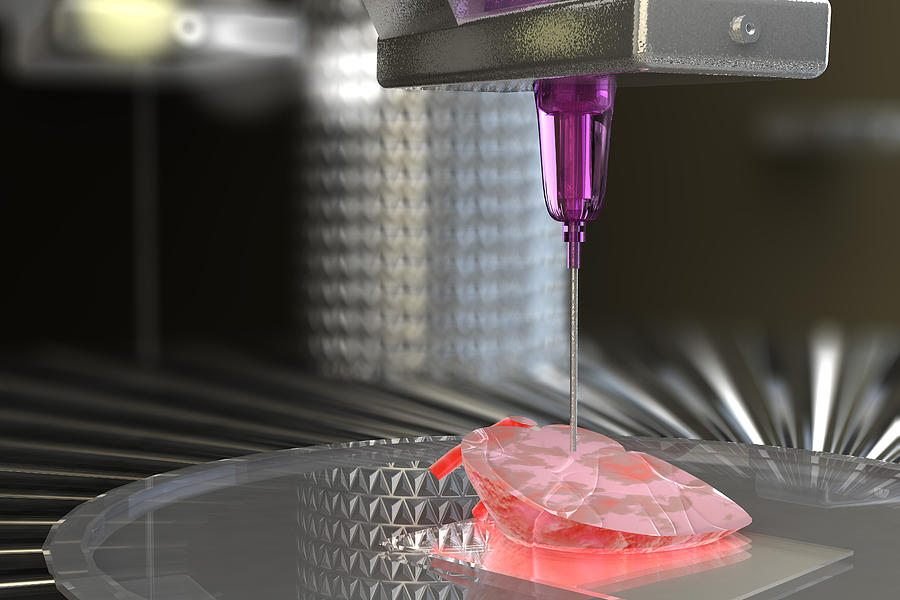 Stem cell 3d printing organs