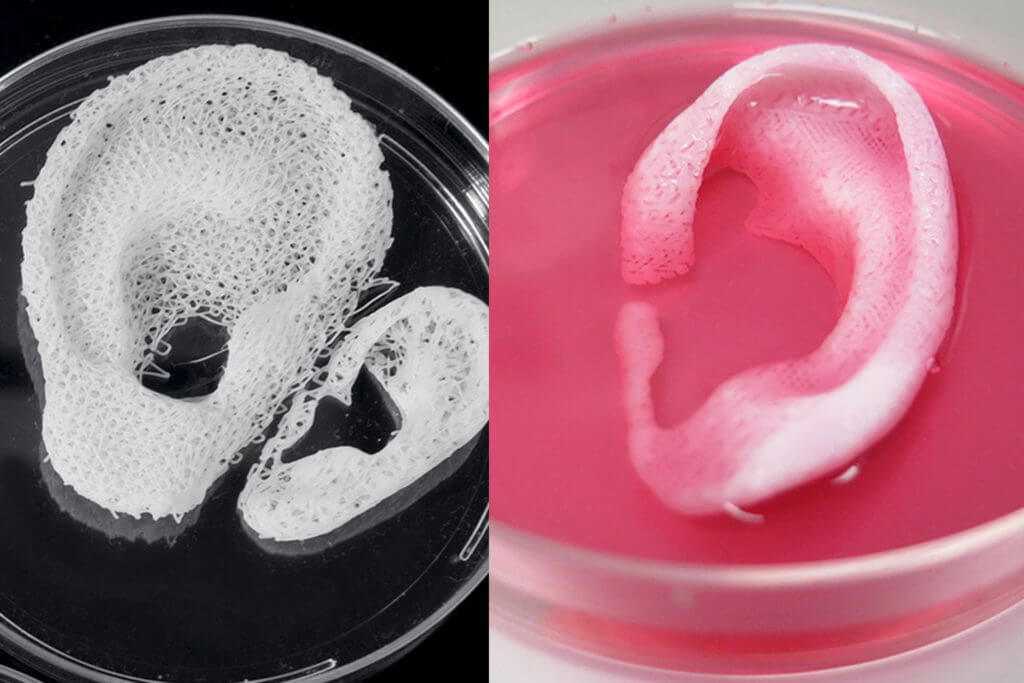 3D printer for medicine