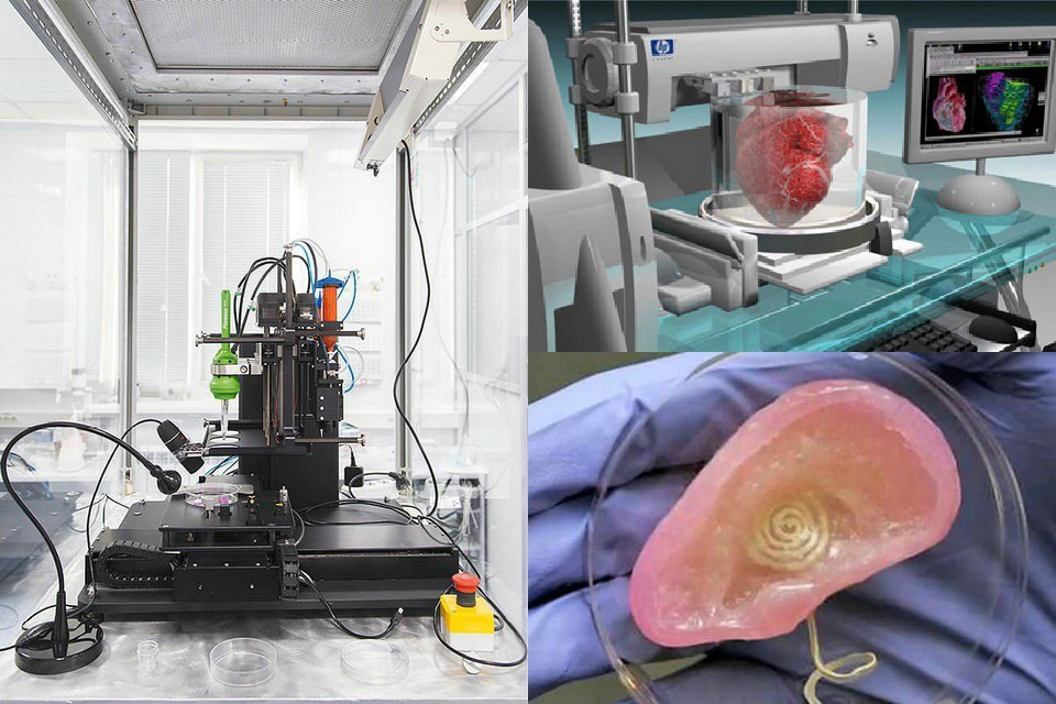 3D liver printer