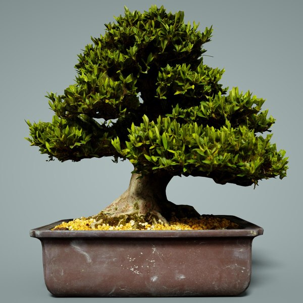 Bonsai 3d printer