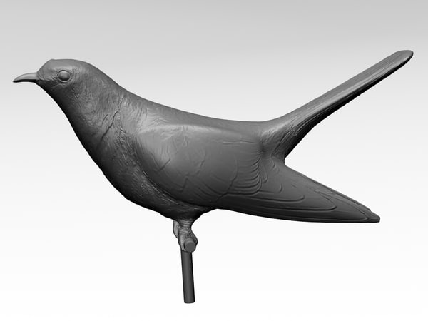 3D printed birds