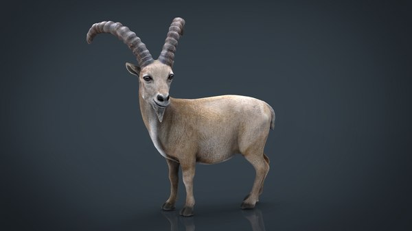 3D printed goat