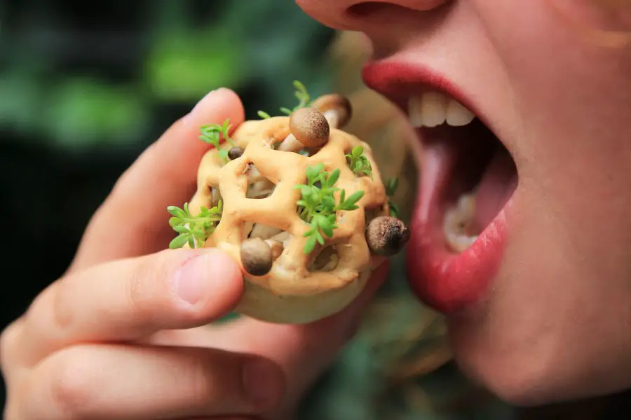 Can you eat 3d printed food